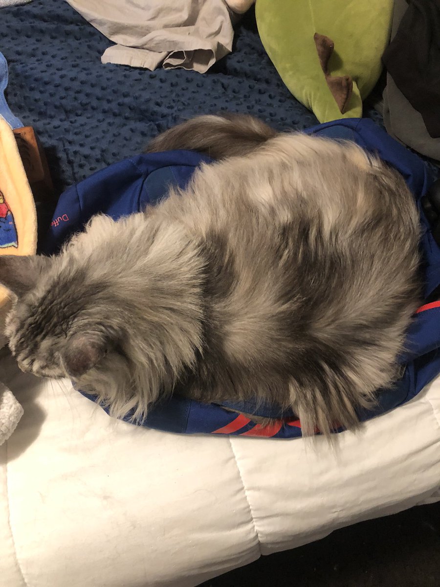 Duffel bag shaped 👍