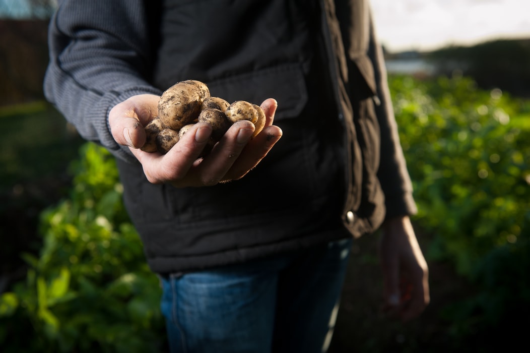 ShellieRN's tweet photo. Though they have been around for a long time now Community Supported Agriculture programs are becoming more and more relevant to the modern food market. https://t.co/4kPLr47aga https://t.co/5egCu5JBgz