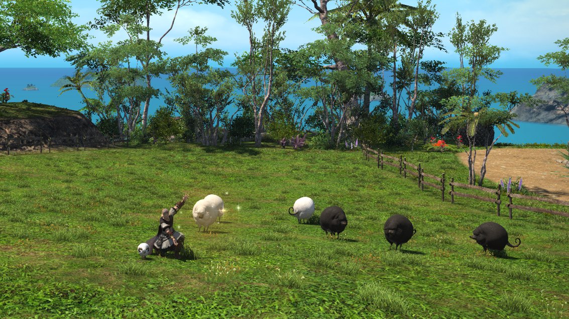 magethuglyfe's tweet photo. how my island sanctuary is going https://t.co/DZVKgaQNf6