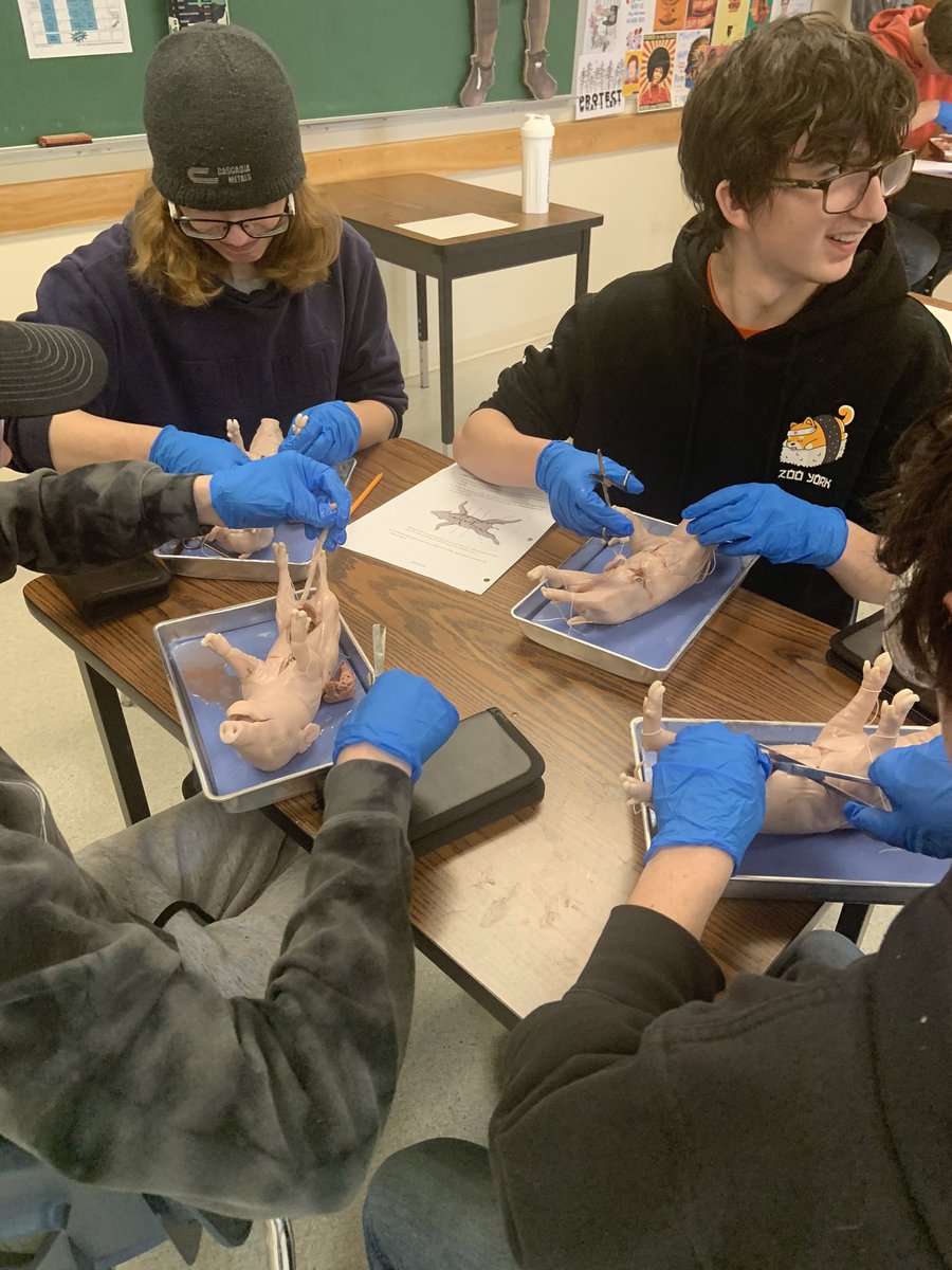 MorSchool tweet media