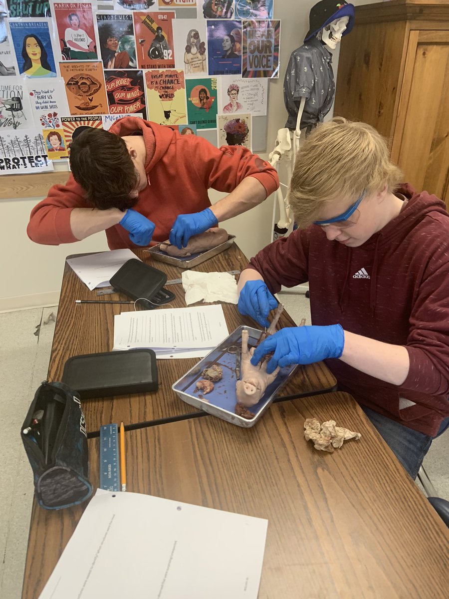 MorSchool tweet media