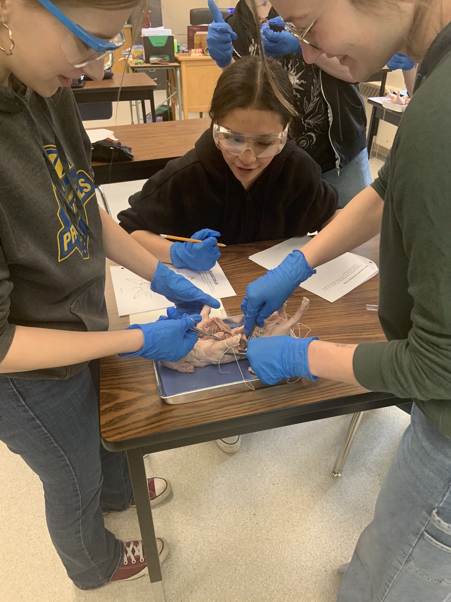 MorSchool tweet media