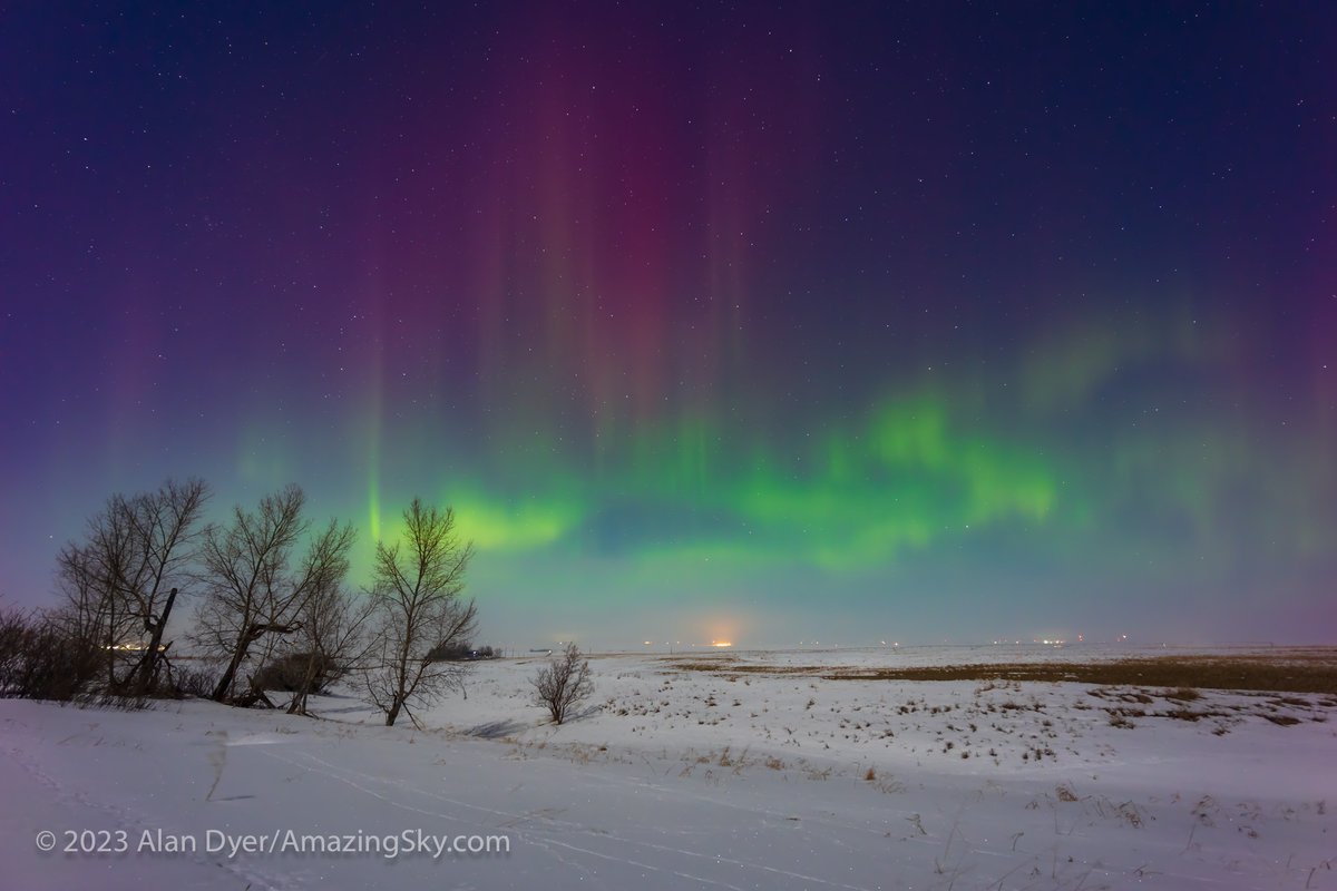 amazingskyguy's tweet photo. A bit of an #aurora show last night, March 30, in the moonlight with some nice red pillars showing up for a while. This was Kp4 to 5. Shot from home in southern Alberta. @AlbertaAurora https://t.co/ohIu3Az7ah