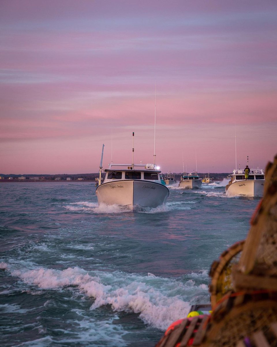 We're closing out the month of March which means we are THAT much close to a glorious PEI Setting Day? 😍🎉🌊

Soon the lobster celebrations will begin! 🦞

📸 IG | jenessaduval