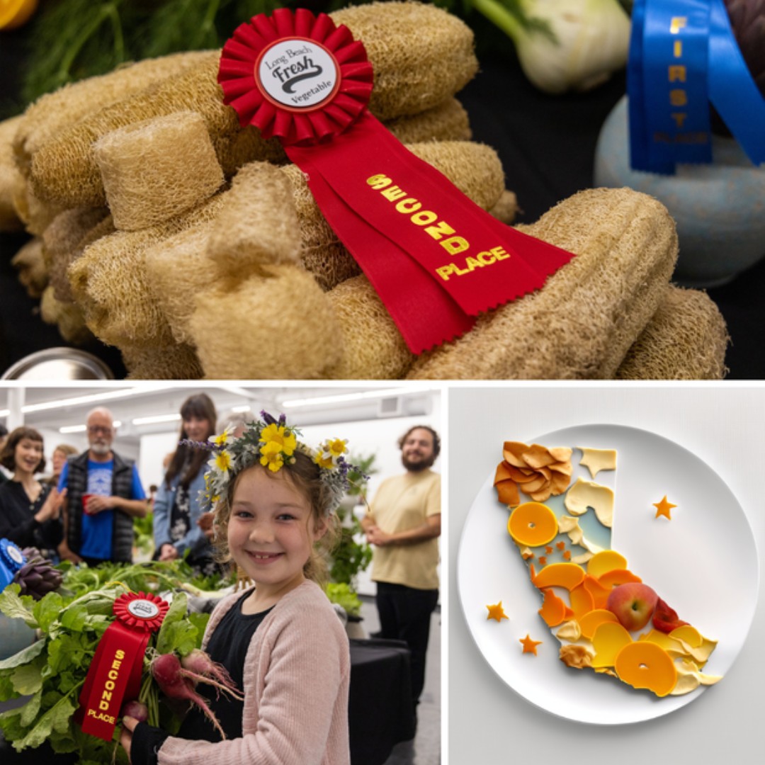 Ground Education tweet media