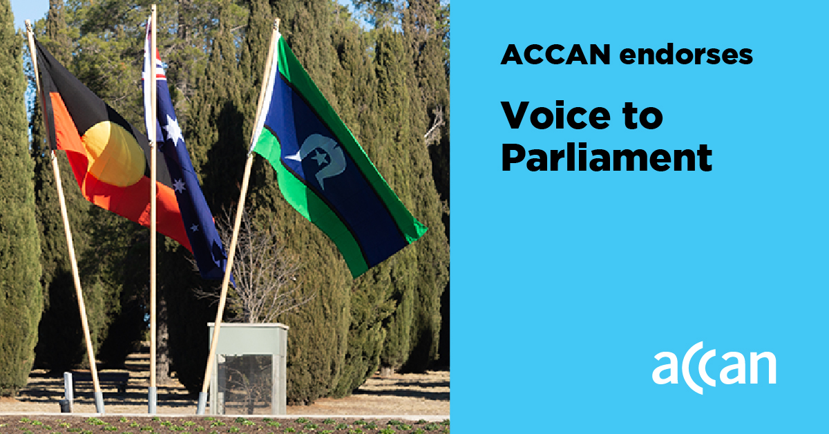 At its March meeting, ACCAN’s Board of Directors has unanimously endorsed the Voice to Parliament. It aligns with ACCAN’s organisational vision of Communications services that are trusted, inclusive, accessible, and available for all. accan.org.au/about-us/repor…