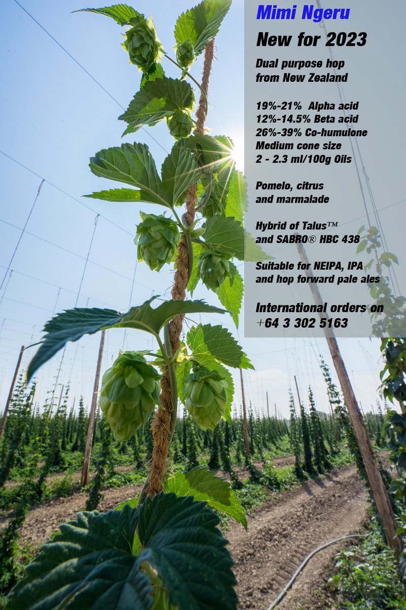 Anyone managed to get hold of any of this yet? Wondered if it is as citrussy as they say.