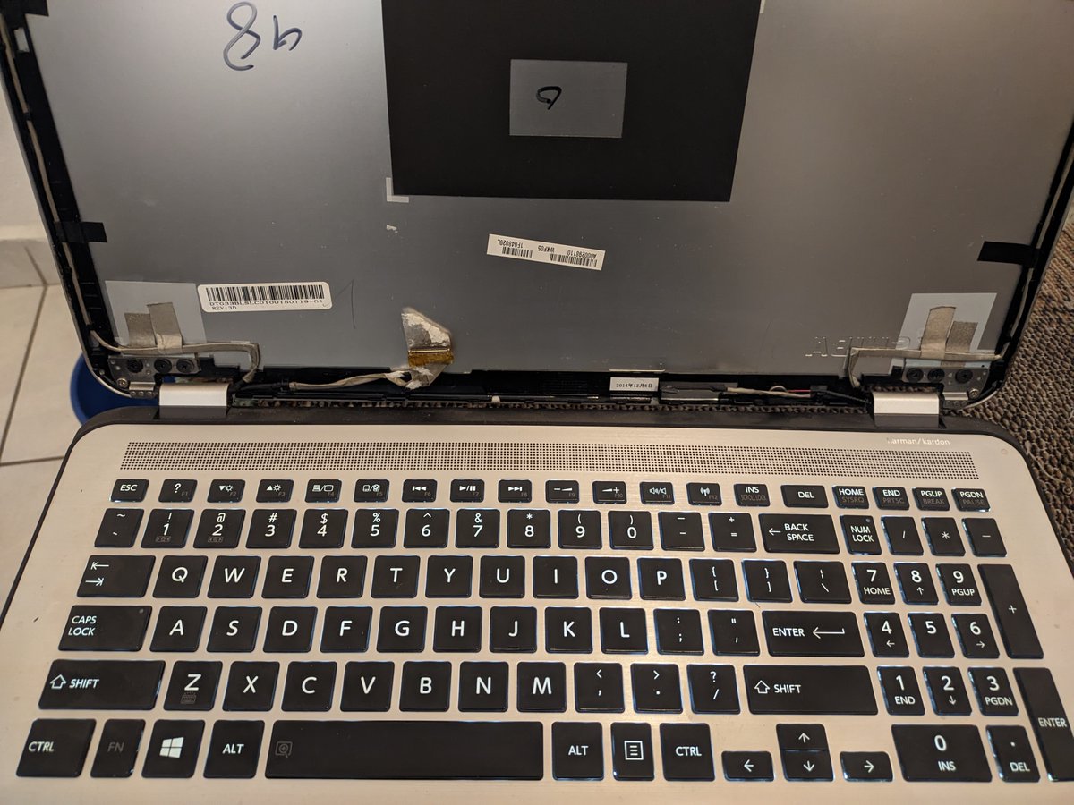 Seiorse10's tweet image. Yo!!!!! @TortillaSquad  @intel_la #IntelWeek #Reloaded   Please, me hace falta una compu. Gracias!!!!