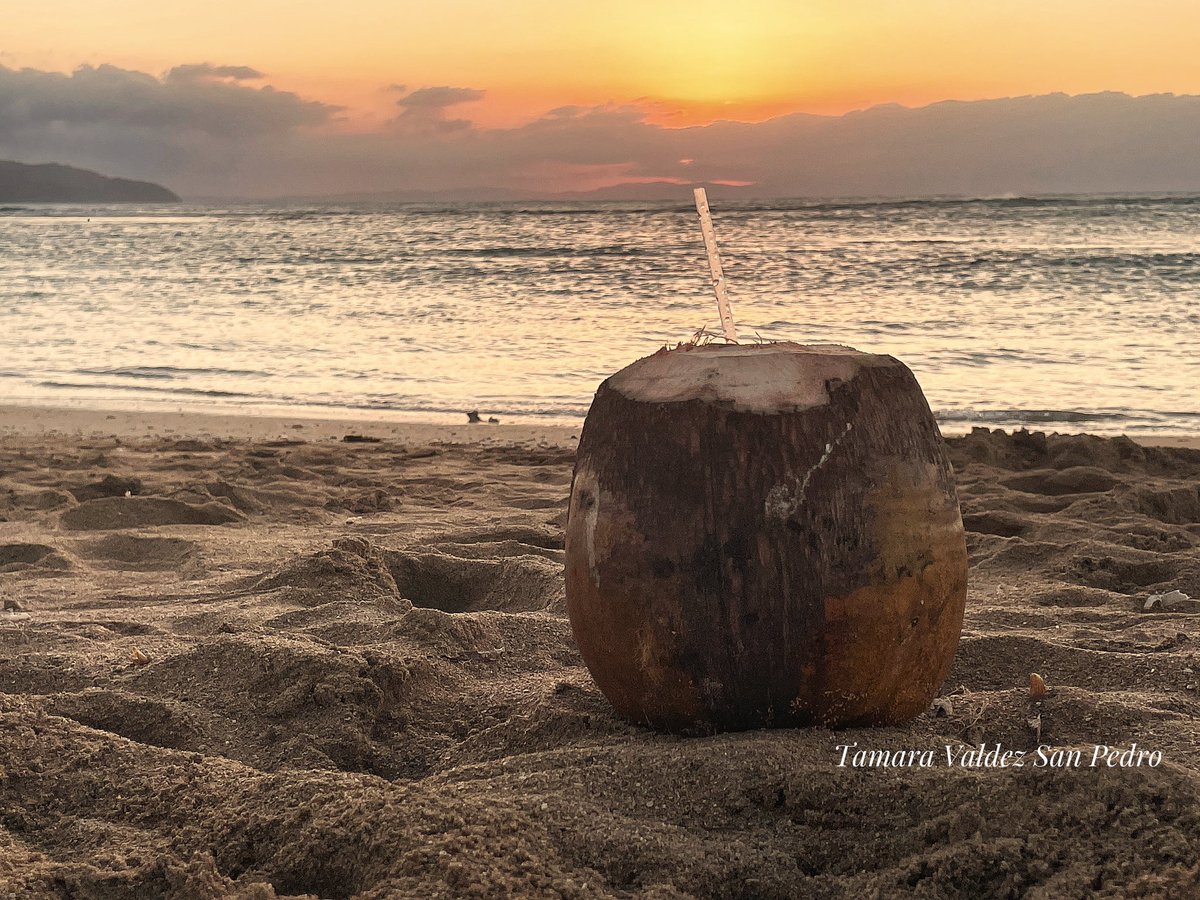 tamara_v28's tweet image. Un rico coco al atardecer en Las Terrenas, RD 🇩🇴🇩🇴
#nature #naturaleza #mimundo #mylife #myview #viajandomivida365 #Ig_DominicanRepublic #sun #rodando  #coco #super_photosunsets #sunset #EverydayDR #sol #atardecer #mar  #rd  #beach #sun #lasterrenas