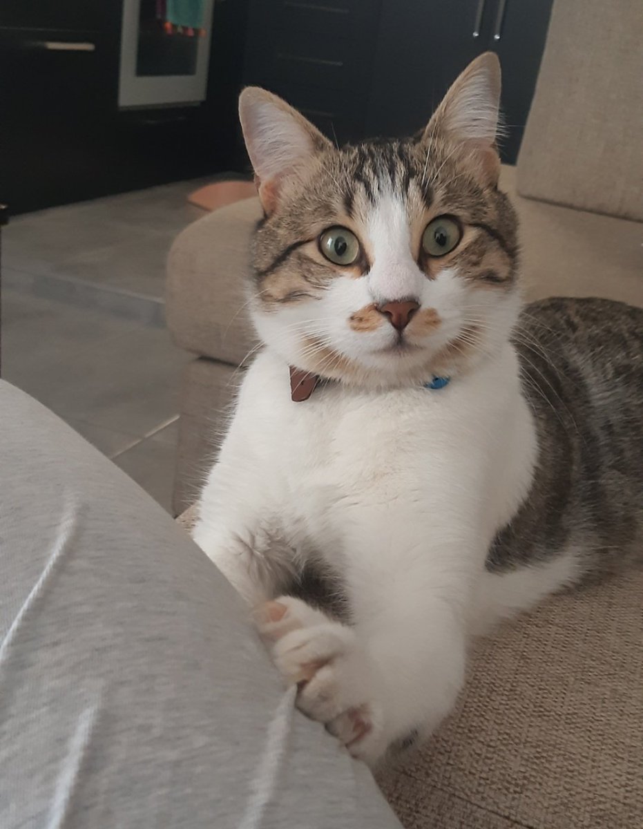 B3eryl's tweet photo. Bu gün kiwinin doğum günü. Bebeğim 2 yıl önce geldi dünyaya. İyi ki doğurmuşum hayatımın anlamını <3<3<3 https://t.co/GnmXt4uq1P