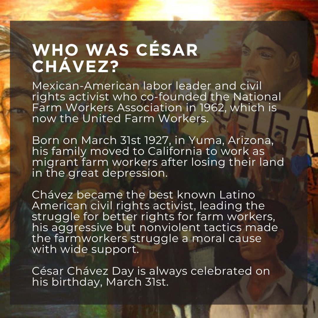 Outside The Lens tweet media