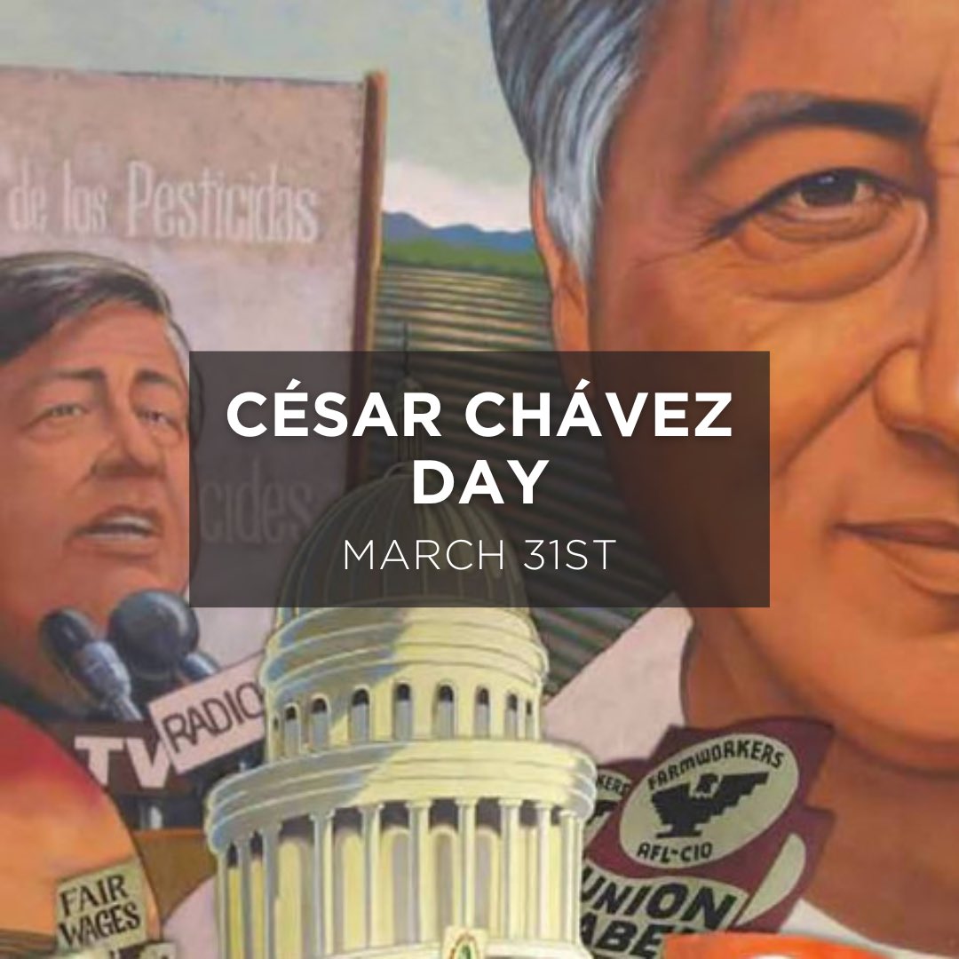 Outside The Lens tweet media