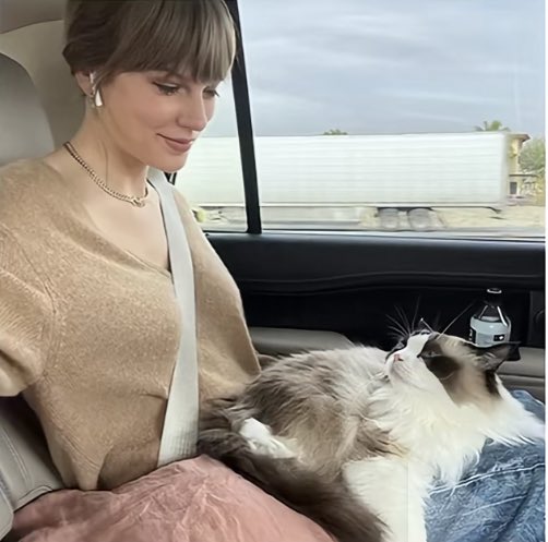 taylor swift she’s so perfect