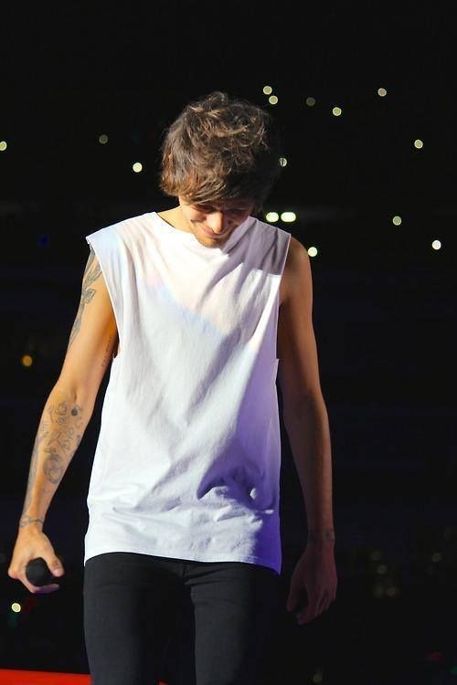 louis hedgehog (@lhdgehog) on Twitter photo 