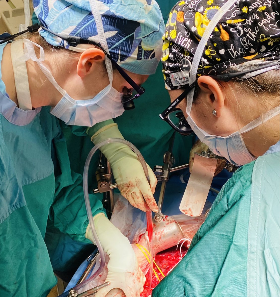 Ashley Drohan tweet media