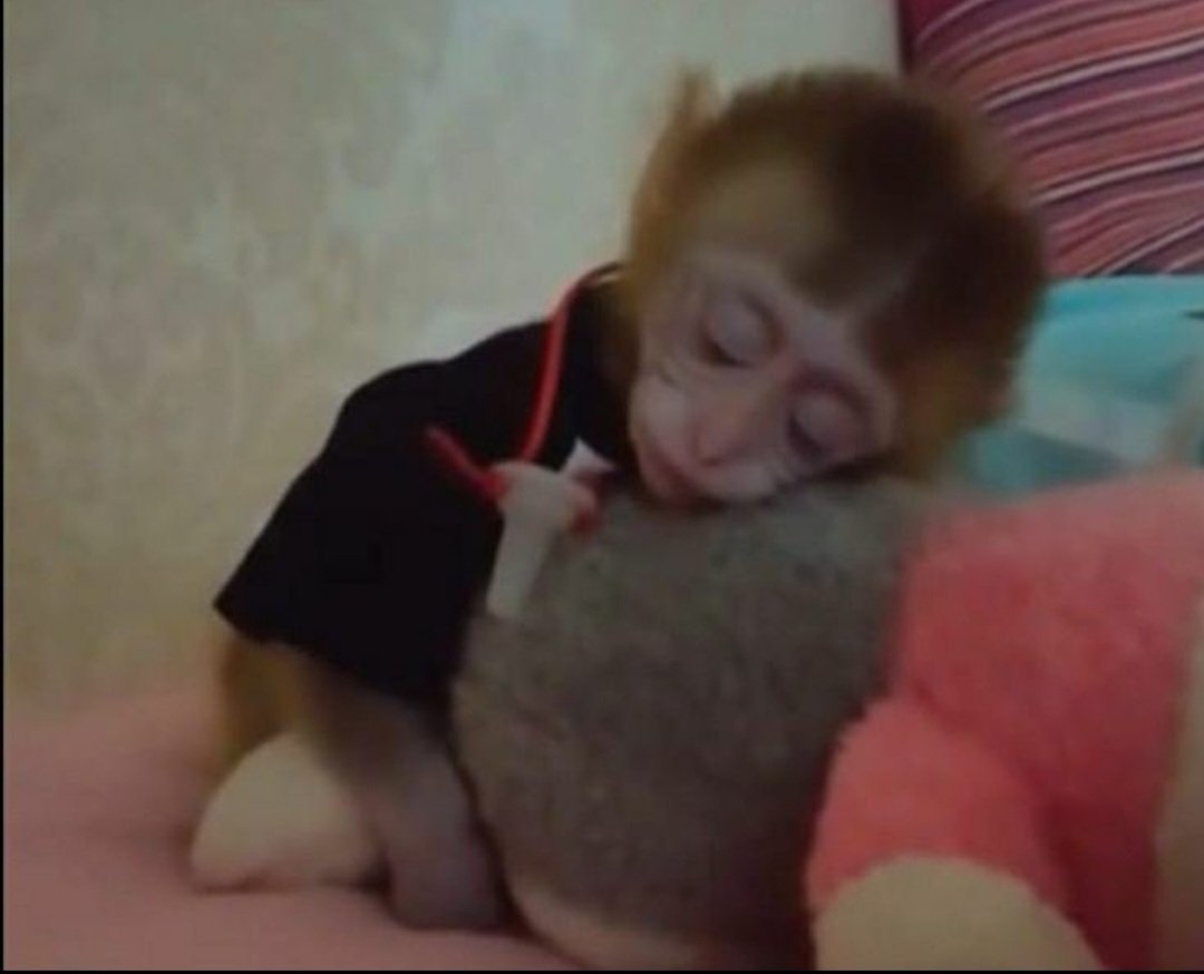 quiero estar con alguien que me ame de la misma manera enferma que yo