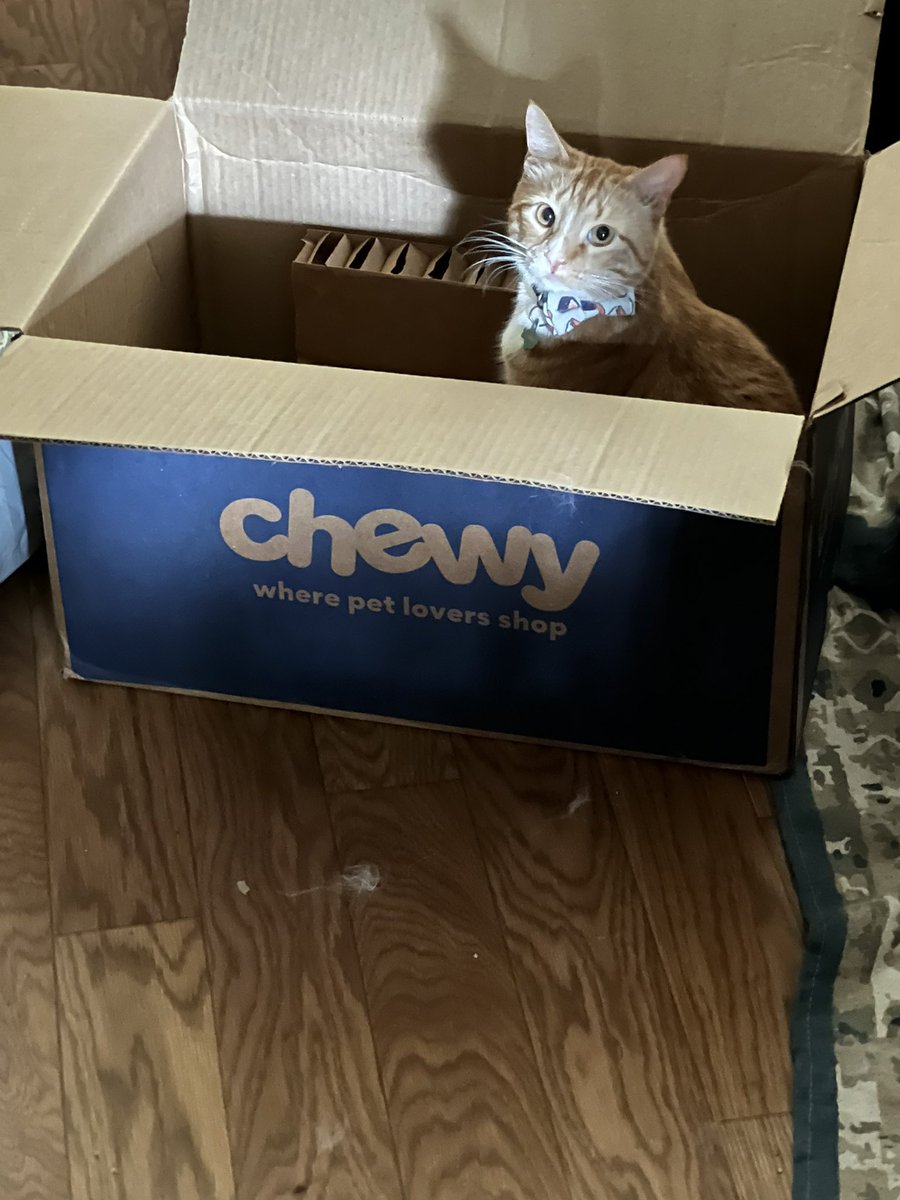 FaendinaCosplay's tweet photo. @Chewy Sushi claimed it when it was empty https://t.co/a6IvQq6yrm