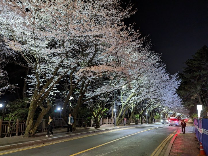 hilarialexander's tweet photo. I have a friend who’s been working in Busan since right after #YetToComeInBUSAN and he knows how much I love BTS. I asked him how the cherry blossoms are, and he sent me a few pics. I also let him know The Pride of Busan, Park Jimin, has an amazing album out. #iwanttogotothere https://t.co/fVOgrU4lUe