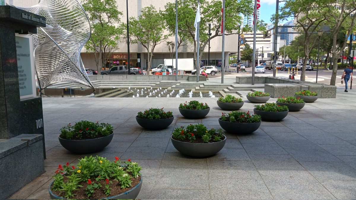 rorygeer's tweet photo. Flower 🌼 Install at Bank Of America in Downtown Tampa! 🌻
#MrGreenThumb #FlowerInstall https://t.co/NndLzCmF7F