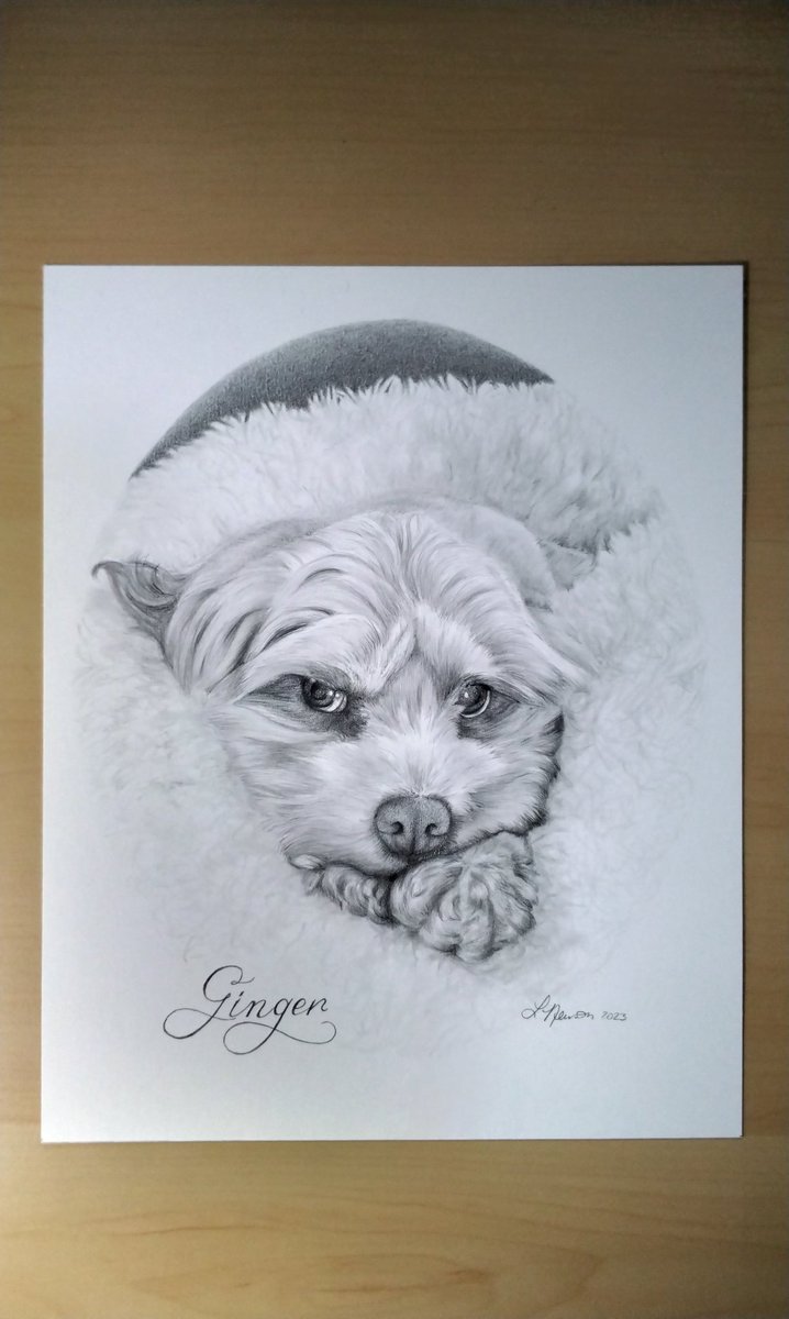 Ginger is all finished! All snug in her bed. The best place to be on this cold, gray day.