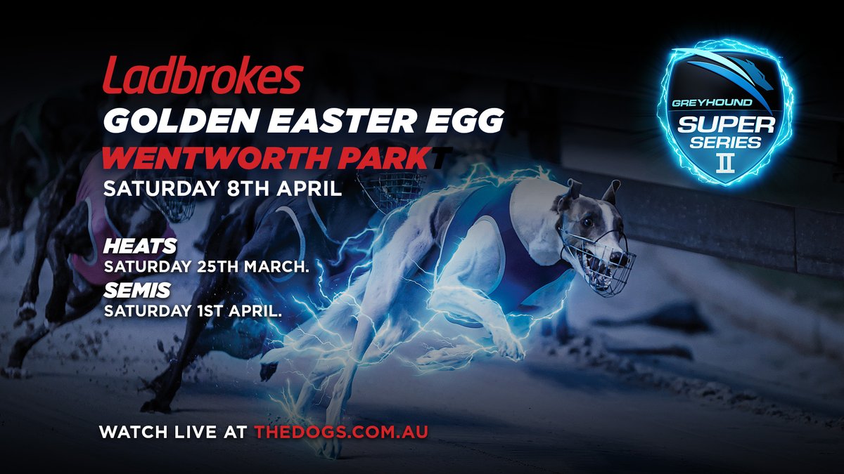 Thedogs_com_au's tweet photo. 4 semi-finals of the 2023 @ladbrokescomau #GoldenEasterEgg will roar into @wentyparkgreys tonight as 32 greyhounds fight it out for 8 spots in the April 8 finale of the $300,000-to-the-winner race.

Preview: https://t.co/S8WSdtrpNT

 #thedogs #GEE #LGEE  #wentypark https://t.co/BcYIt5sf9l