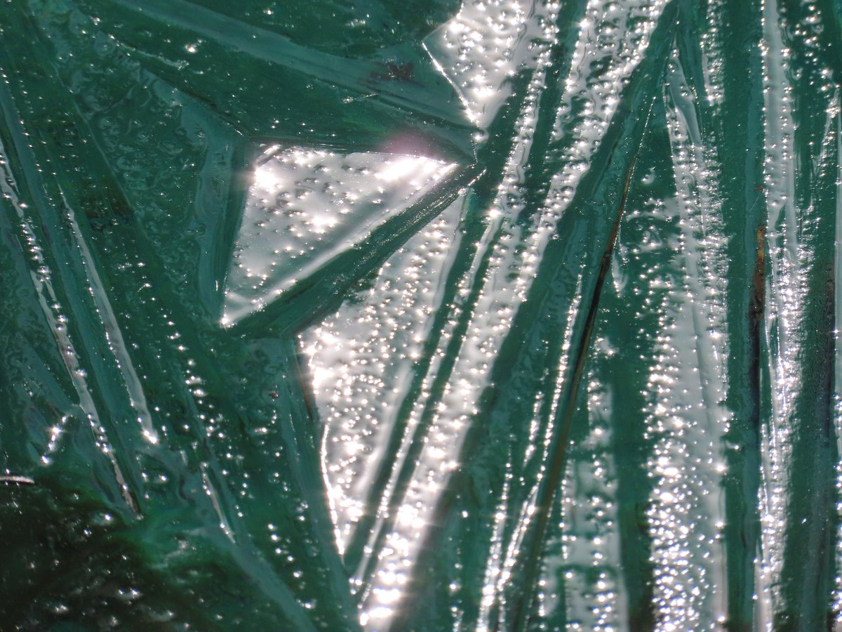 sdoppler2's tweet photo. An ice early morning today as we March into April
#MarchMacroChallenge https://t.co/plkNeU2DBH