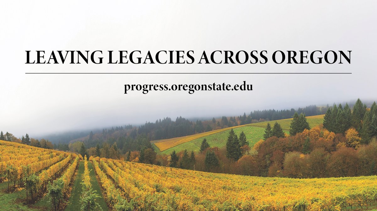 OSUAgSci's tweet image. #AgSci at OSU is more than a college—it is a community made up of generations upon generations of students, graduates, faculty and staff, industry and stakeholders of all backgrounds, all bound by the common goal to make tomorrow better—for everyone.

progress.oregonstate.edu/2023/03/13/lea…