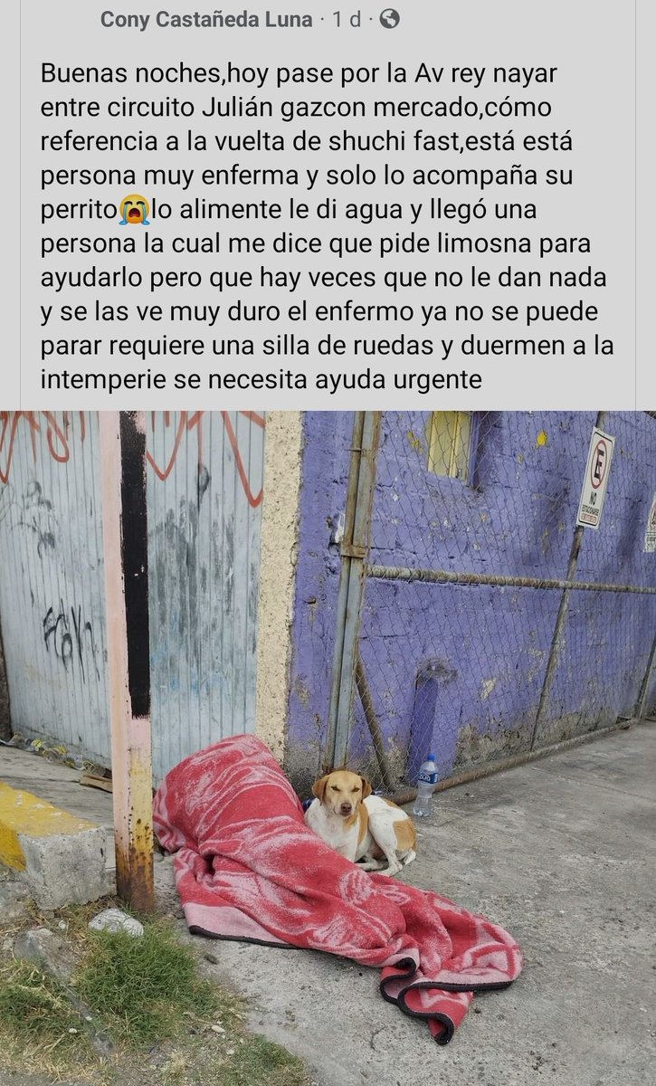 LicAnimalista's tweet photo. Atención Activistas de humanos y de animales no humanos en Nayarit. https://t.co/jJStcFxcGs