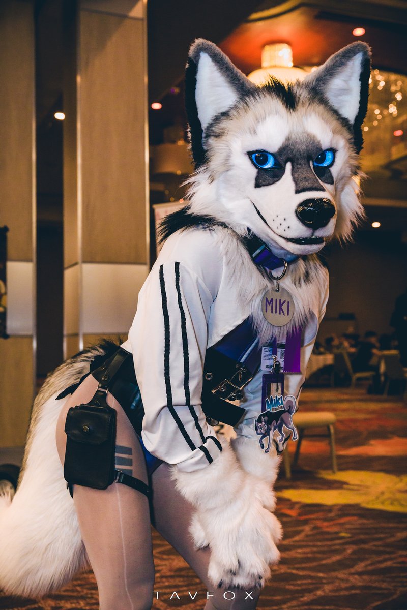 Hey you!💜 Hope you're doing something fluffy for #FursuitFriday
📷@Tav_fox