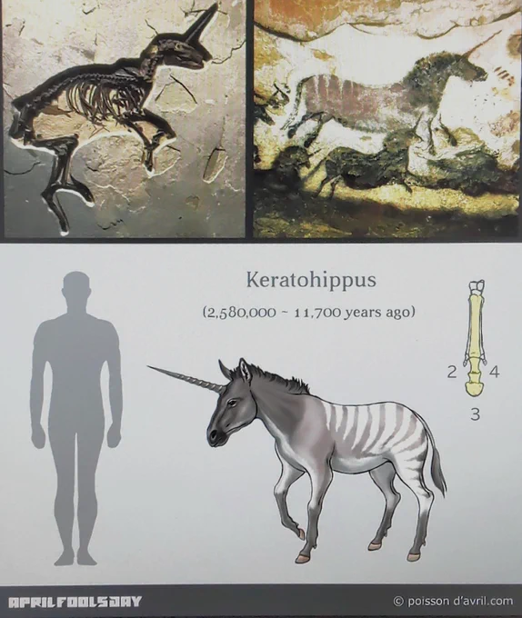 え、マジかこれ…

「サウジアラビア北部で18万年前のものとみられる"角を持つ馬"の完全な化石が発掘され、ケラトヒップスと命名された。この発見は同時に、9万年前にネアンデルタール人が洞窟に描いた壁画の幻獣が空想ではなかった可能性も示唆している」(写真あり)
https://t.co/pX1Ux1Svf6 