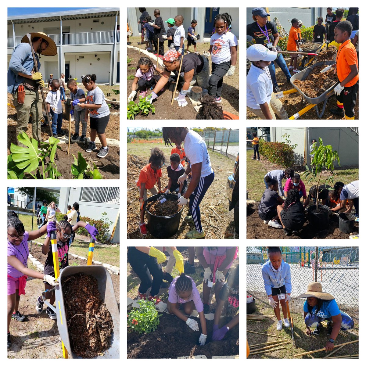 We are Orioles and We SOAR!!! Working together to enhance our school community. Thank you #TEAGardenFoodForest. <a href="/browardschools/">Broward Schools</a> @BcpsCentral_ <a href="/BCPSInnovates/">Innovative Learning Department</a>