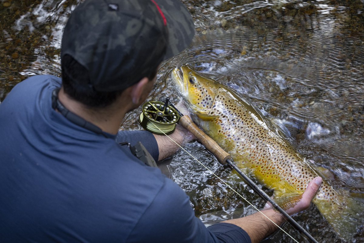 scottflyrod's tweet image. In the words of Reverend Maclean in A River Runs Through It: "Oh me, oh my!"

Ph: Kiyoshi Nakagawa 
#flyfishing #flyfish #scottflyrods #manictackleproject