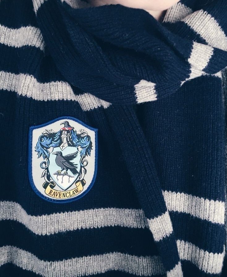 Hogwartssite's tweet photo. Ravenclaw aesthetic 🦅 https://t.co/yT70RcrIJX