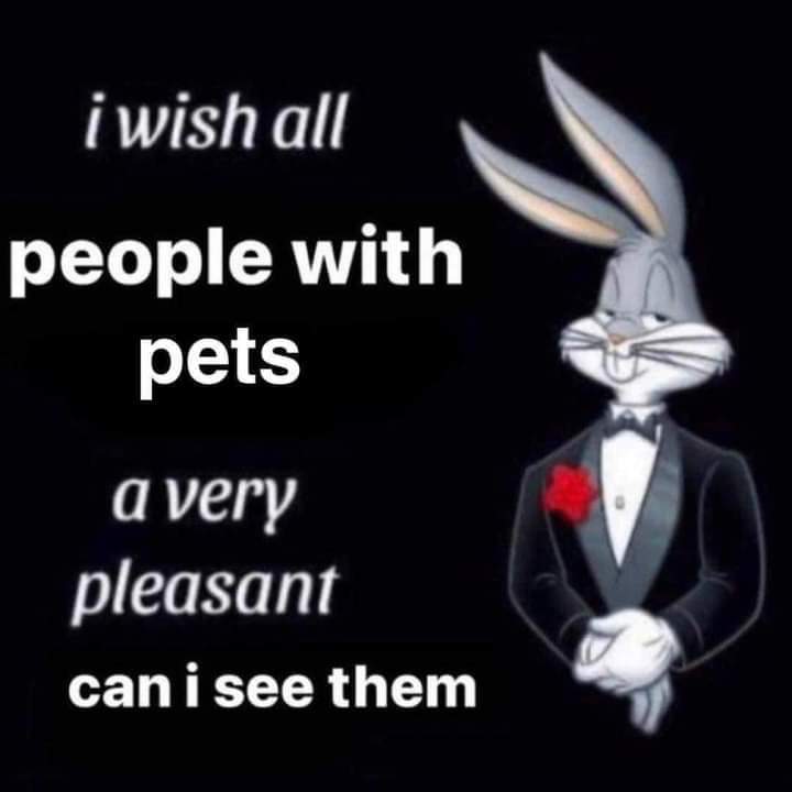 WHOLESOME SABBATH MEME