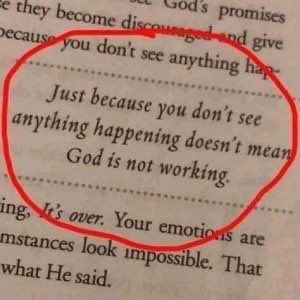NarimeneNs's tweet photo. today..I feel so low..and thinking on exactly same..that nothing changing things same only.but after reading this..I feel so positive and yes feel ashamed by same time..how I not trust god and thinking negative... https://t.co/yvsVnDcFTq