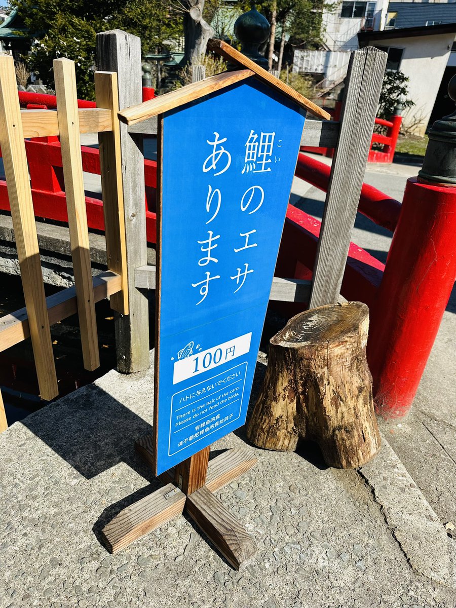 utojinja's tweet photo. 4月1日(土)🌞
今日からご要望いただいた鯉🐟のエサが解禁いたします☺️
可愛がって下さいませ♪
#春 #コイ #鯉 #解禁 #神社 #池 #青森市 https://t.co/TP4gf4LbAW