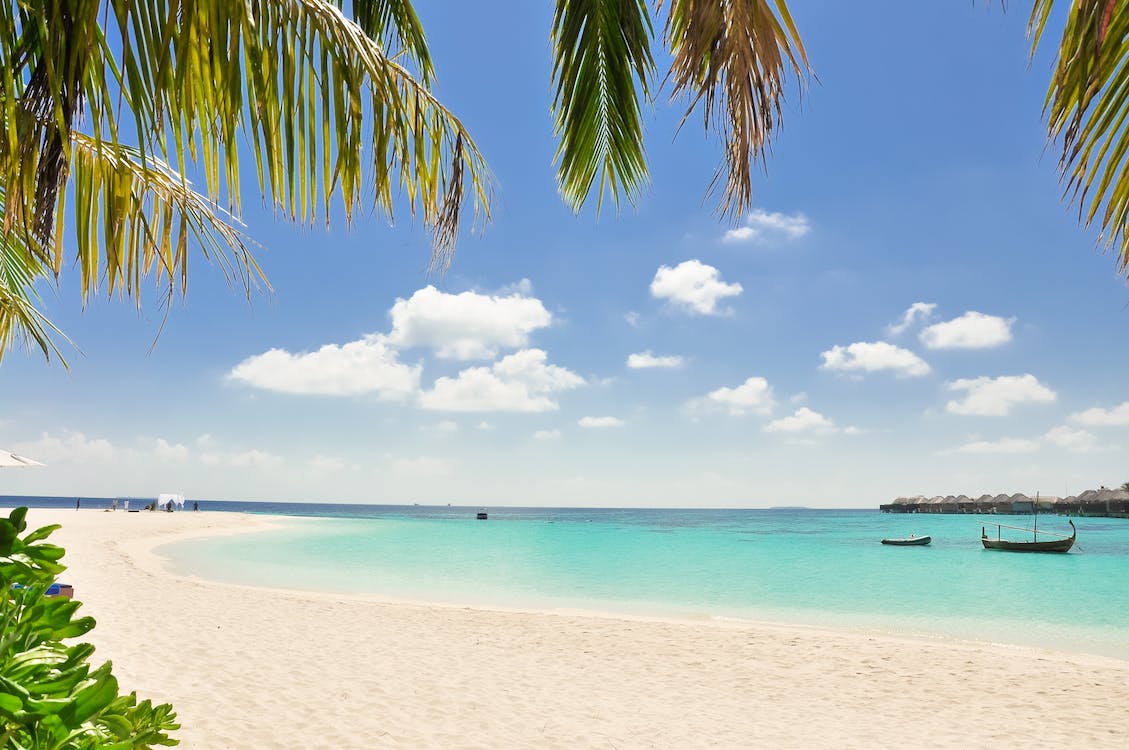 FastestExit's tweet photo. Don't give a timeshare salesperson your bank or credit card information if you don't want them to charge you. https://t.co/cmXxhpJEi8