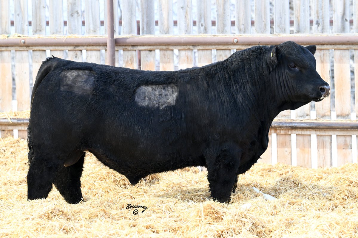 Soderglen Ranches tweet media