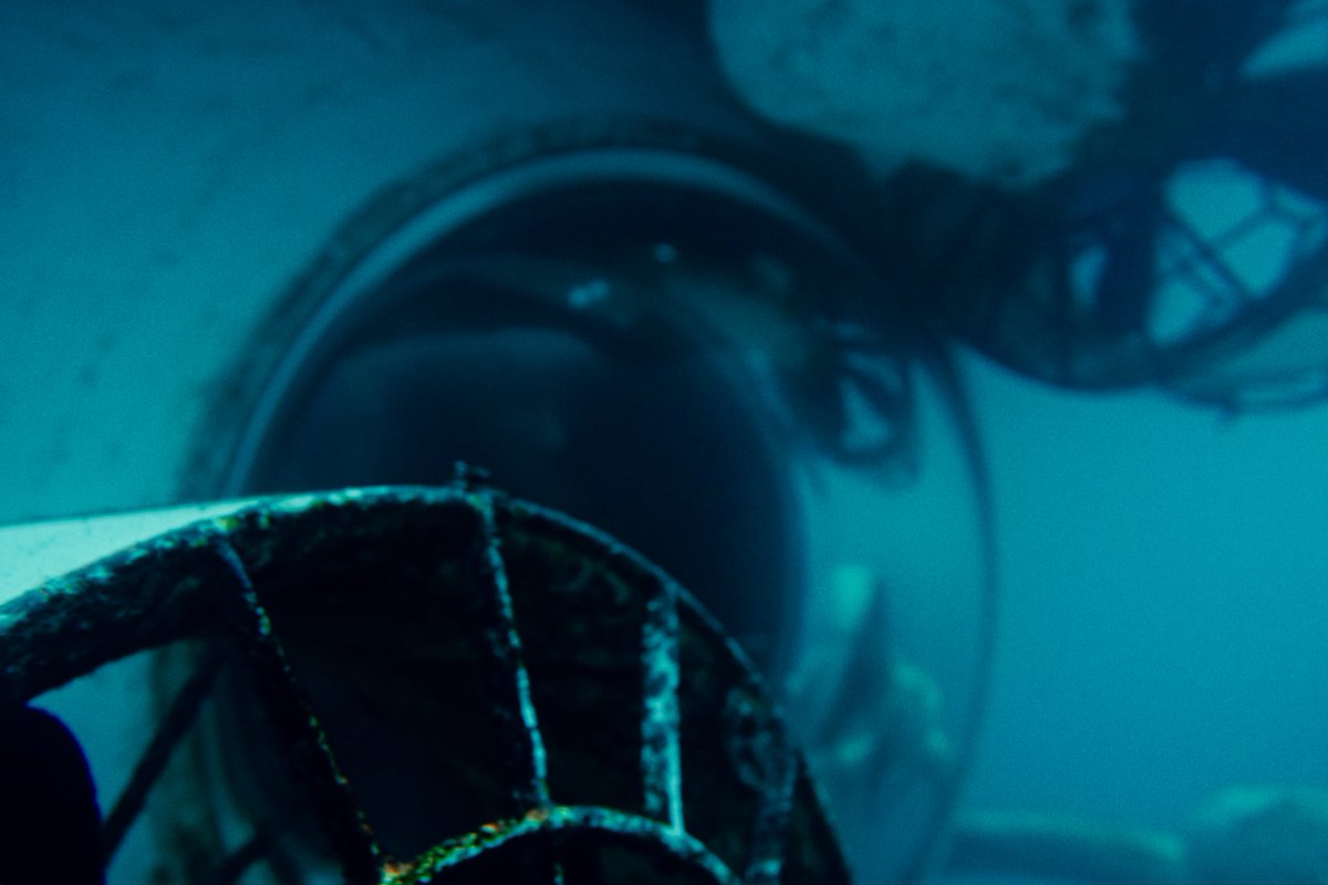 Flywus Studios tweet media