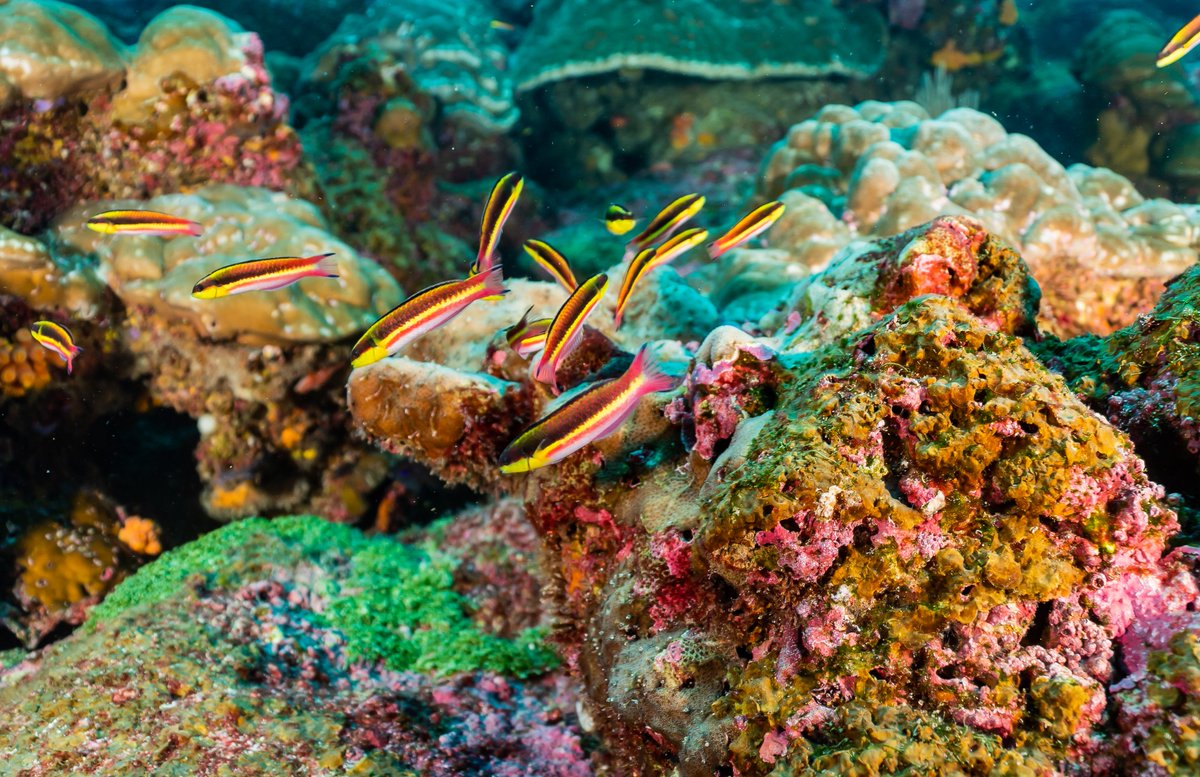 Any astronaut can tell you you've got to do everything you can to learn about your life support system and then do everything you can to take care of it.