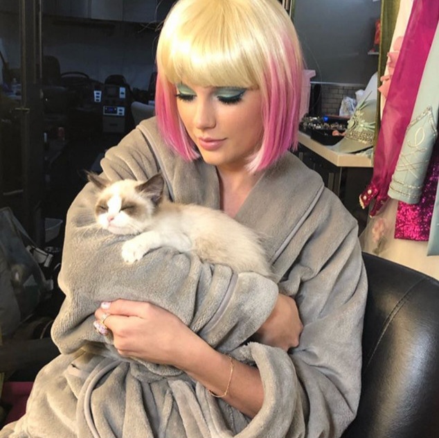 the-swift-society-on-twitter-karma-is-a-cat-purring-in-my-lap