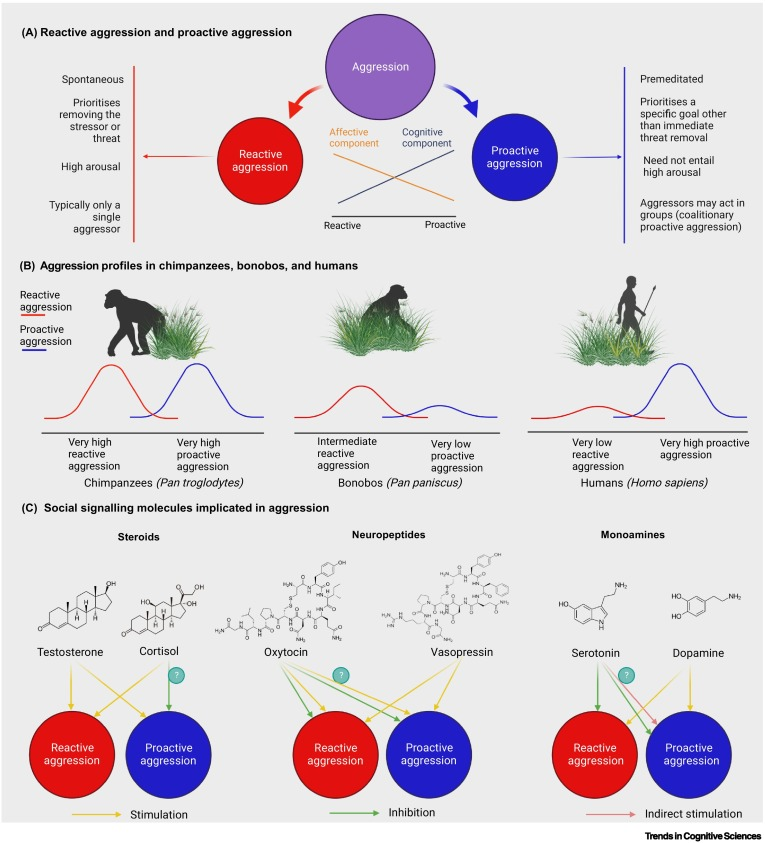 SteveStuWill's tweet photo. "Humans are simultaneously exceptionally peaceful and exceptionally violent (the peace–violence paradox)... We discuss a social evolutionary theory of human aggression to resolve this paradox." https://t.co/4nvRe41POb https://t.co/iJvf0YHexe