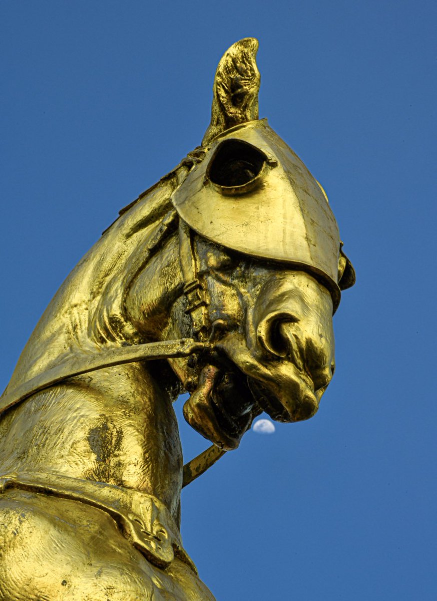 marcorasi1960's tweet photo. Joan of Arc's horse eats the moon, Decatur street, New Orleans https://t.co/goY8uqTnnq