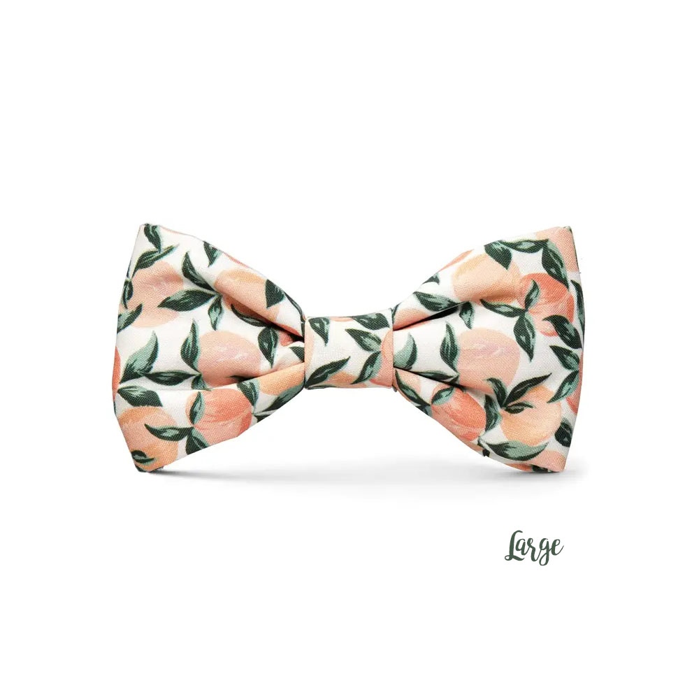 farmfreshtoyou's tweet photo. For a limited time only - we're excited to offer pet accessories from @thefoggydog! Handsome bow ties, perfectly peachy waste bag dispensers, and squeaky toys. Find the pawfect treat for the furry friends in your life when you #customizeyourbox this week.
https://t.co/2KB0b4ziT3 https://t.co/t2Z60QT0T2