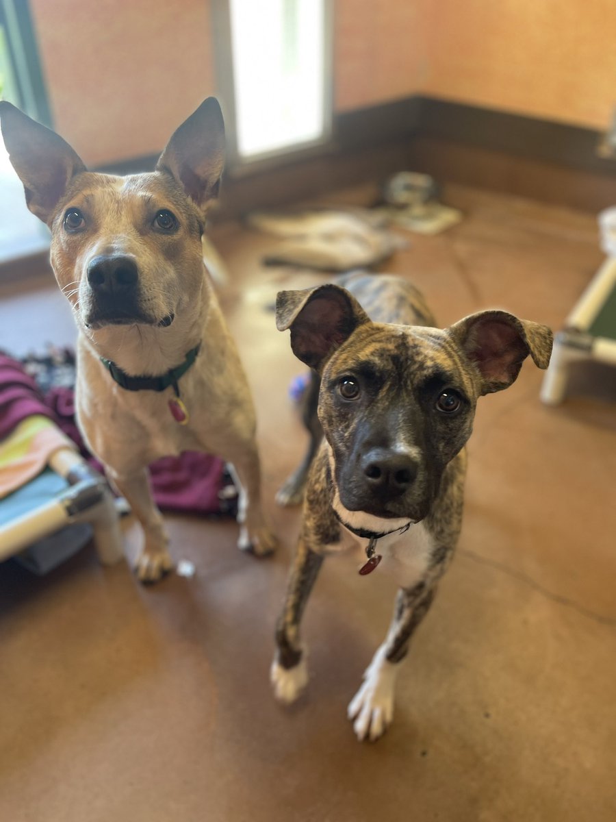 The NOAH Center tweet media