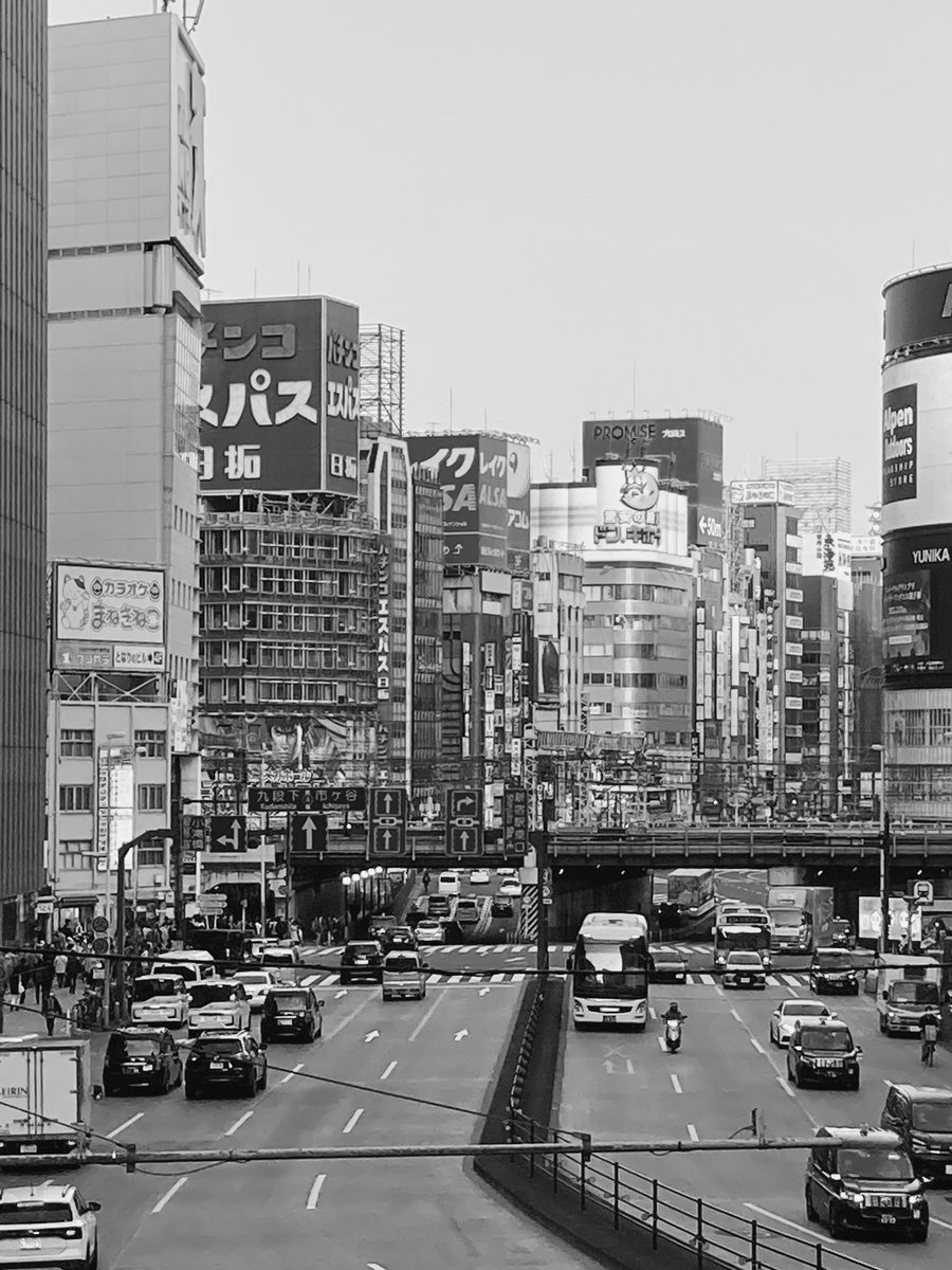 cmecapoet's tweet photo. Walking around in Tokyo

#landscape #city #monochrome https://t.co/9o5GYjvKEI