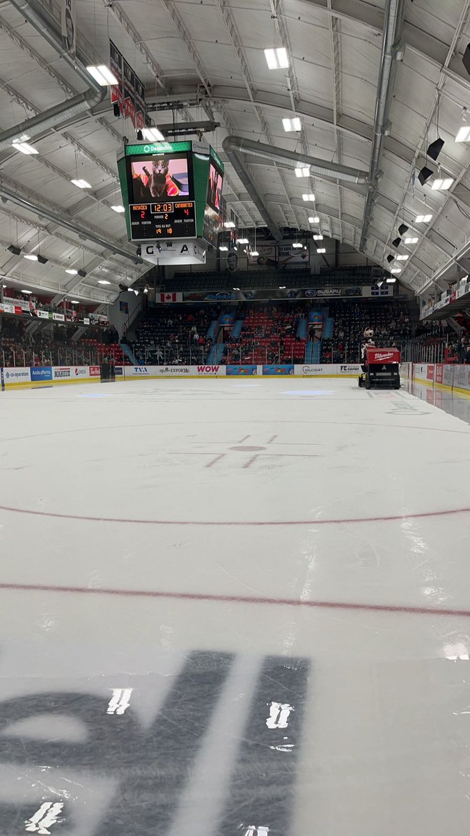 sinkingpandaz's tweet image. nothing screams Canadian more than going to a hockey game on a Saturday night, hope you guys are all having a good weekend!
