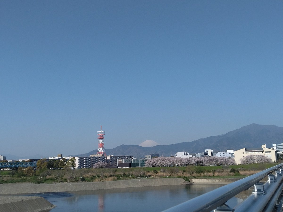 wao9959's tweet photo. 富士山&amp;桜を見ながら朝ランしてきました🏃‍♀
#朝ラン
#ランニング女子
#富士山
#桜
#桜パトロール https://t.co/nuppieUxPY