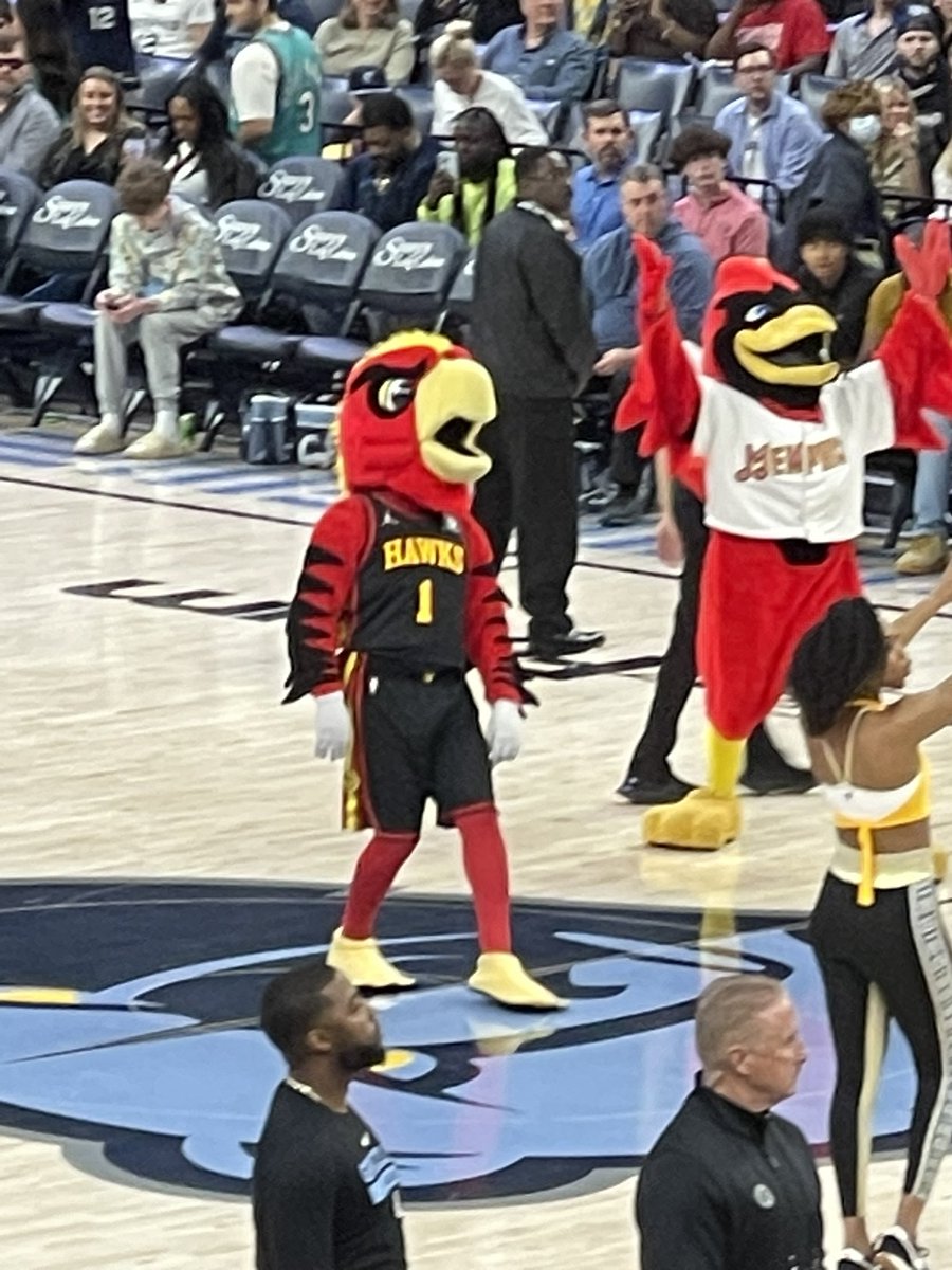 aquamane04's tweet photo. I’m pissed that Memphis is losing at the end of the 1st Q against the Clippers but defiantly more confused why Harry the hawk made an appearance. Any answers? https://t.co/nSkFpk9Zkj