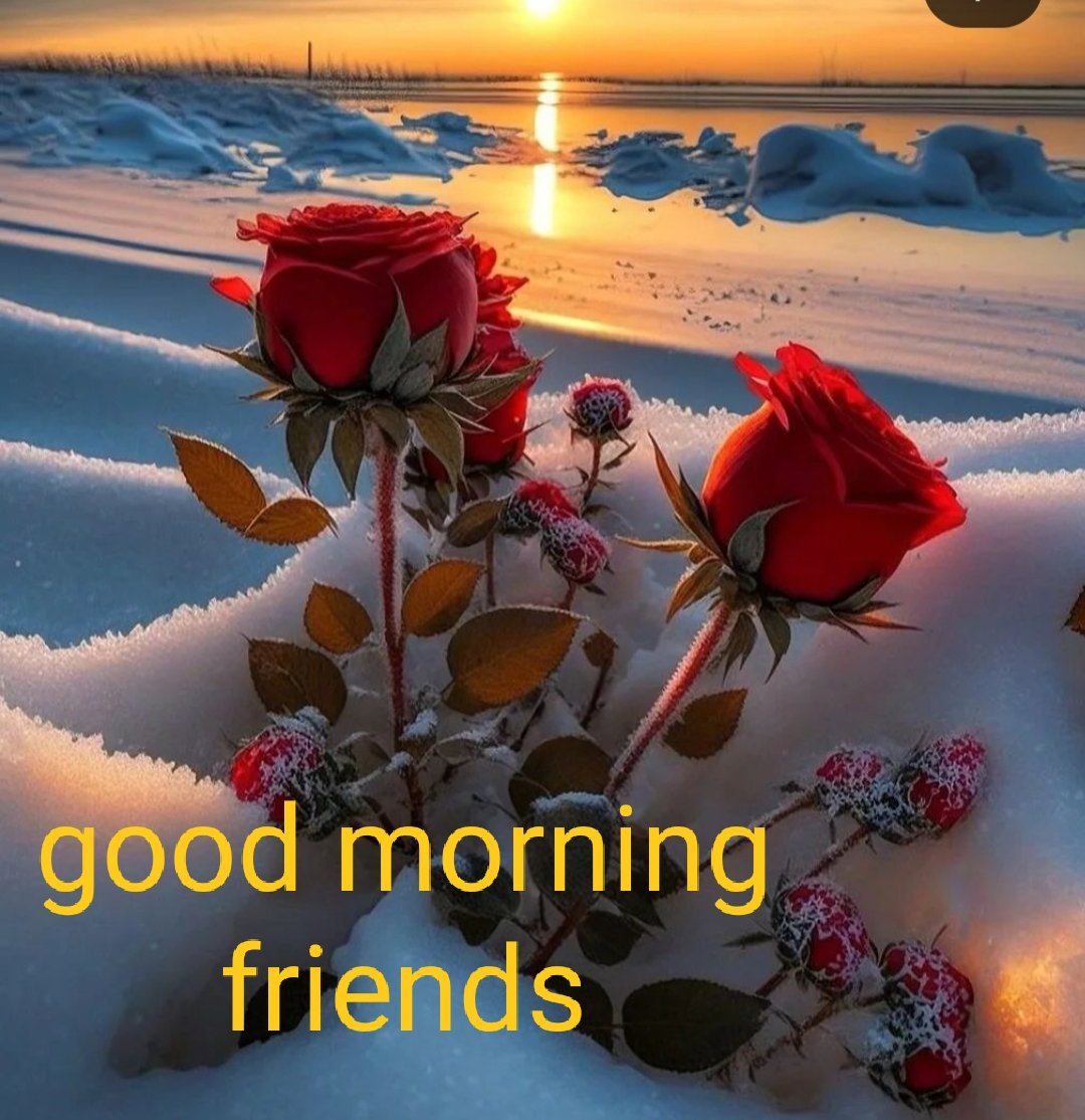 सभी प्यारे दोस्तों को सुप्रभात